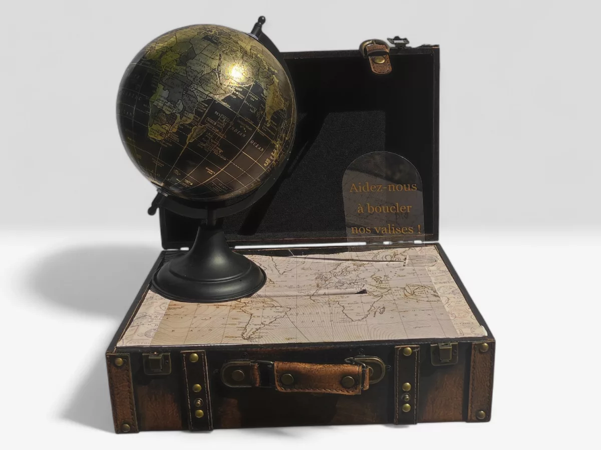 Cagnotte valise globe