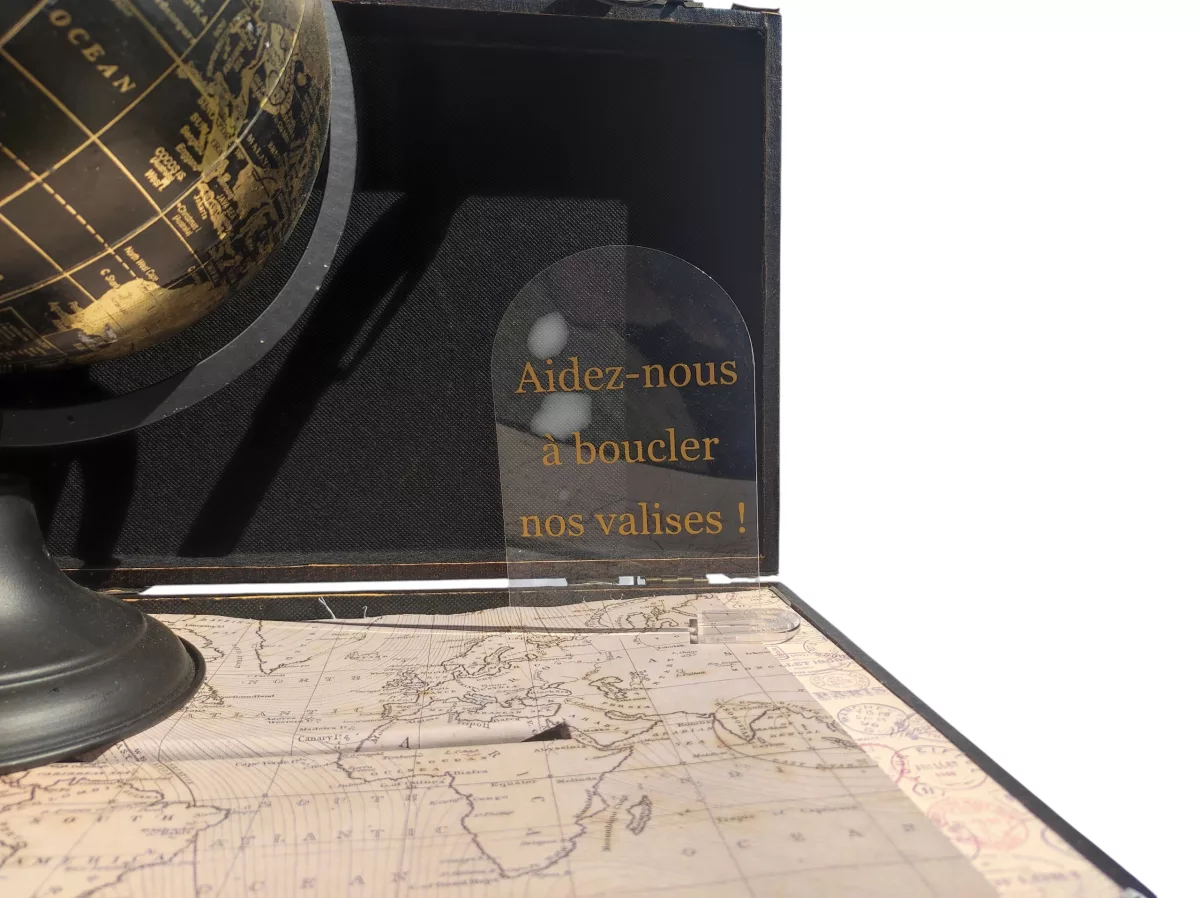 Cagnotte valise globe
