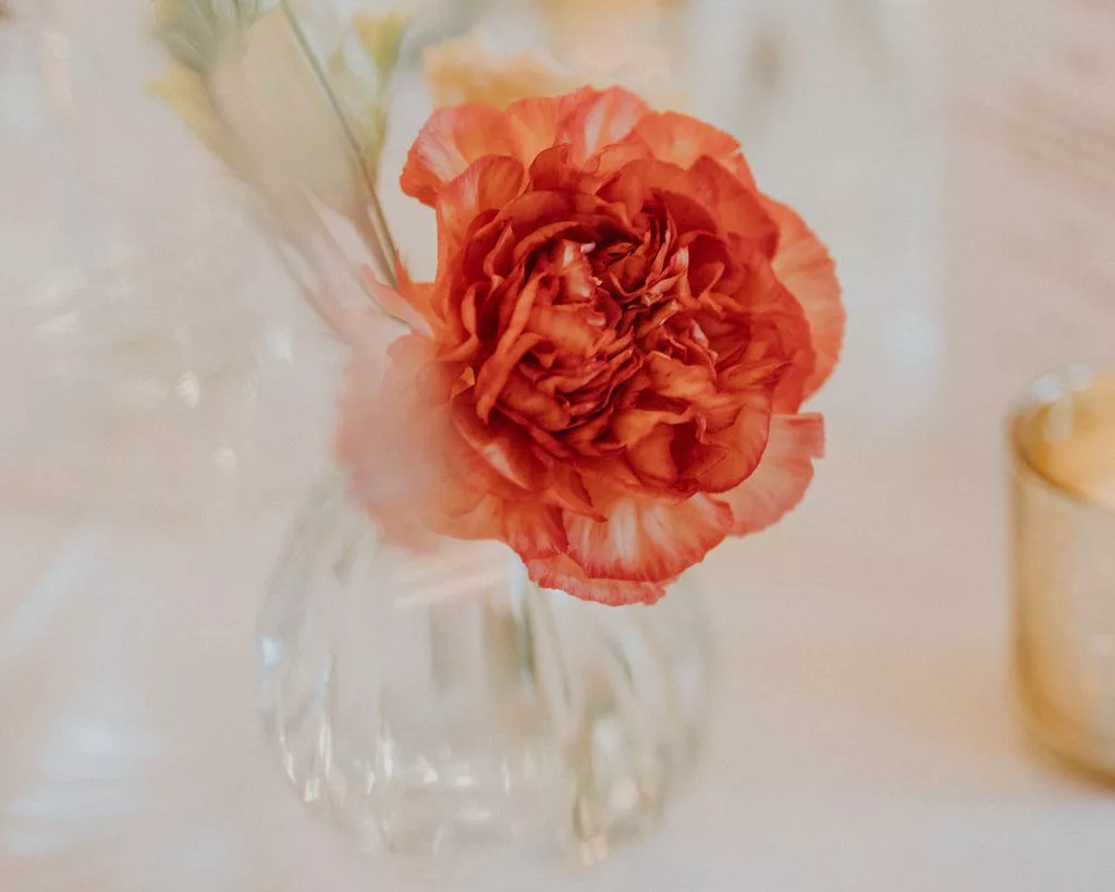 Soliflore boule Marguerite avec fleurs fraîches