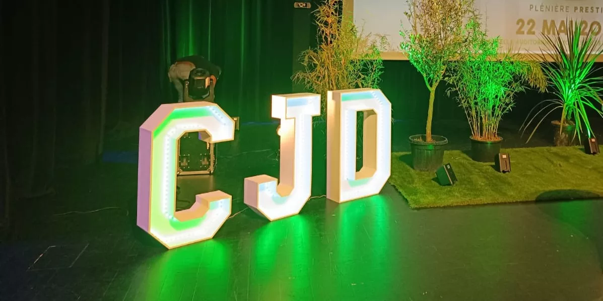 Lettre géante lumineuse D